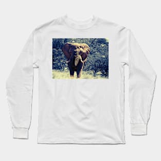 Elephant (Color Pop) Long Sleeve T-Shirt